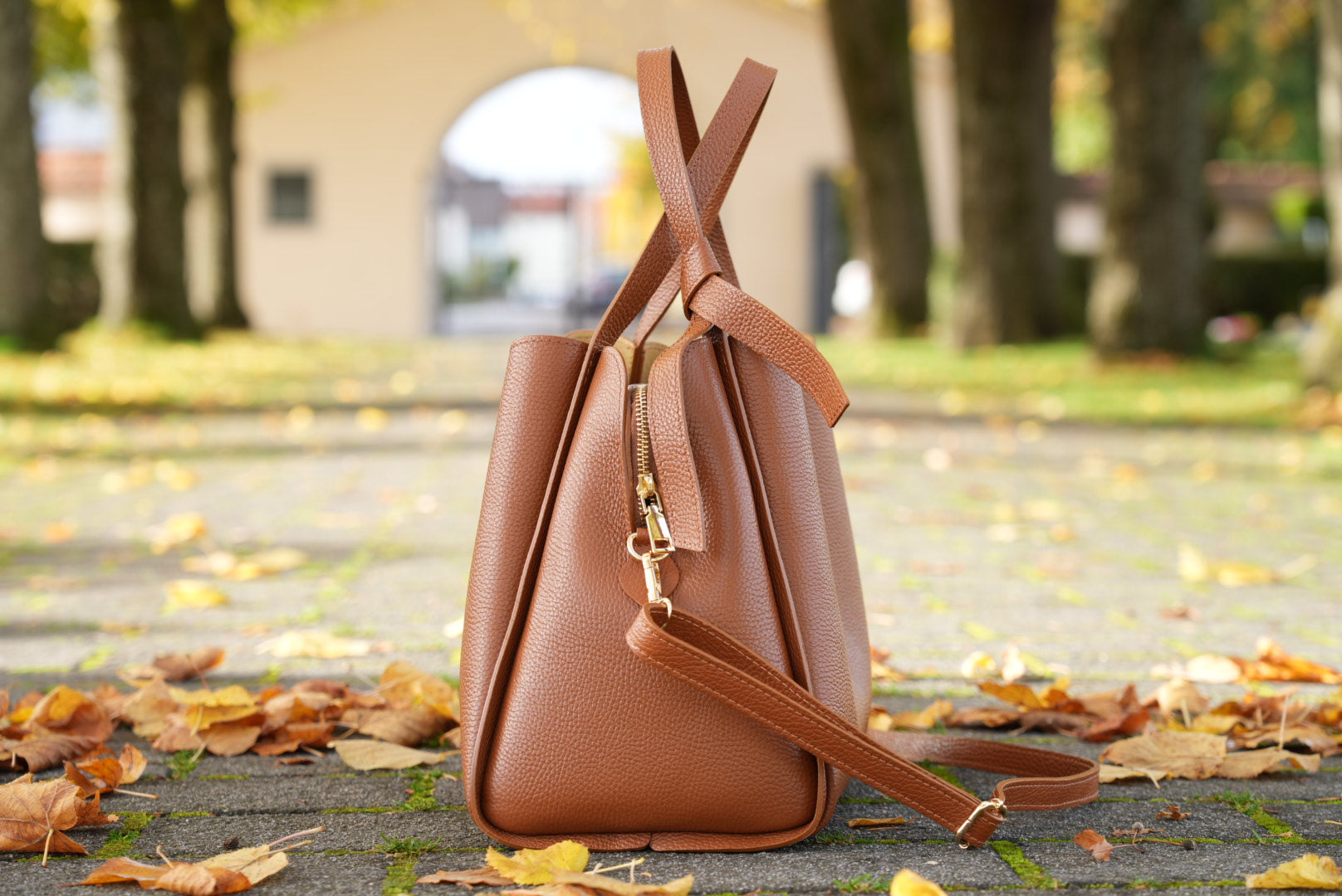 Saint Maraux™ | L’Élégance Cuir