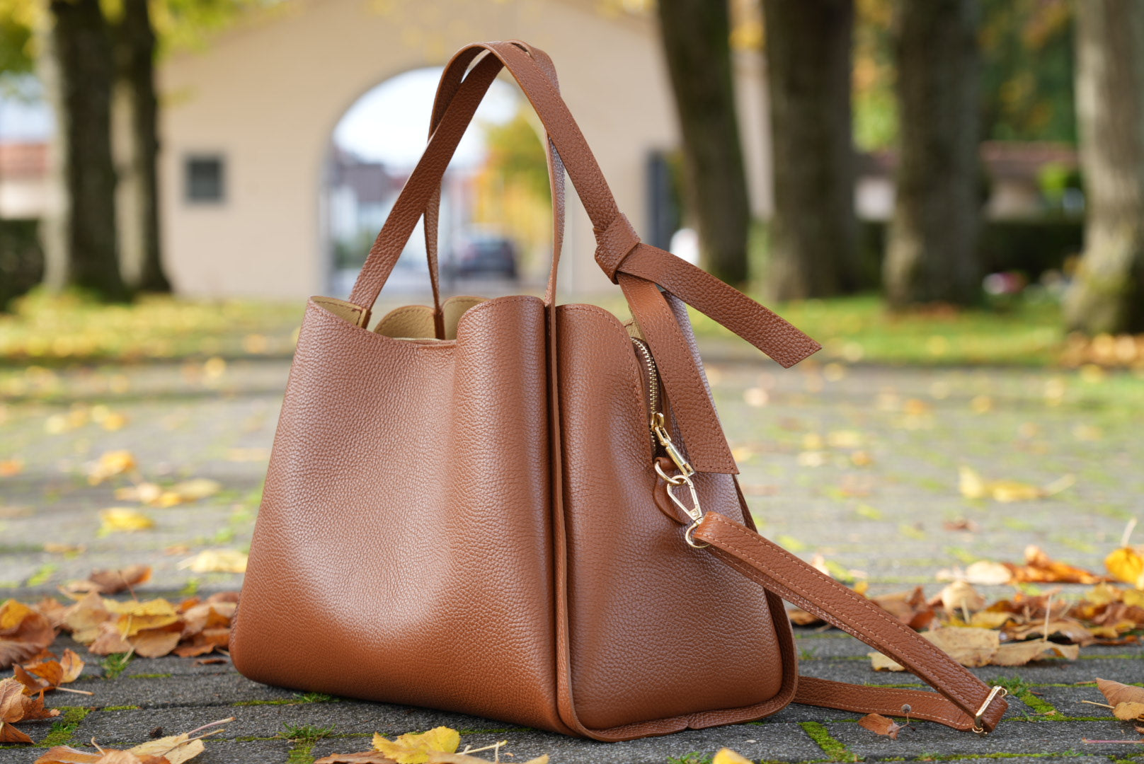 Saint Maraux™ | L’Élégance Cuir