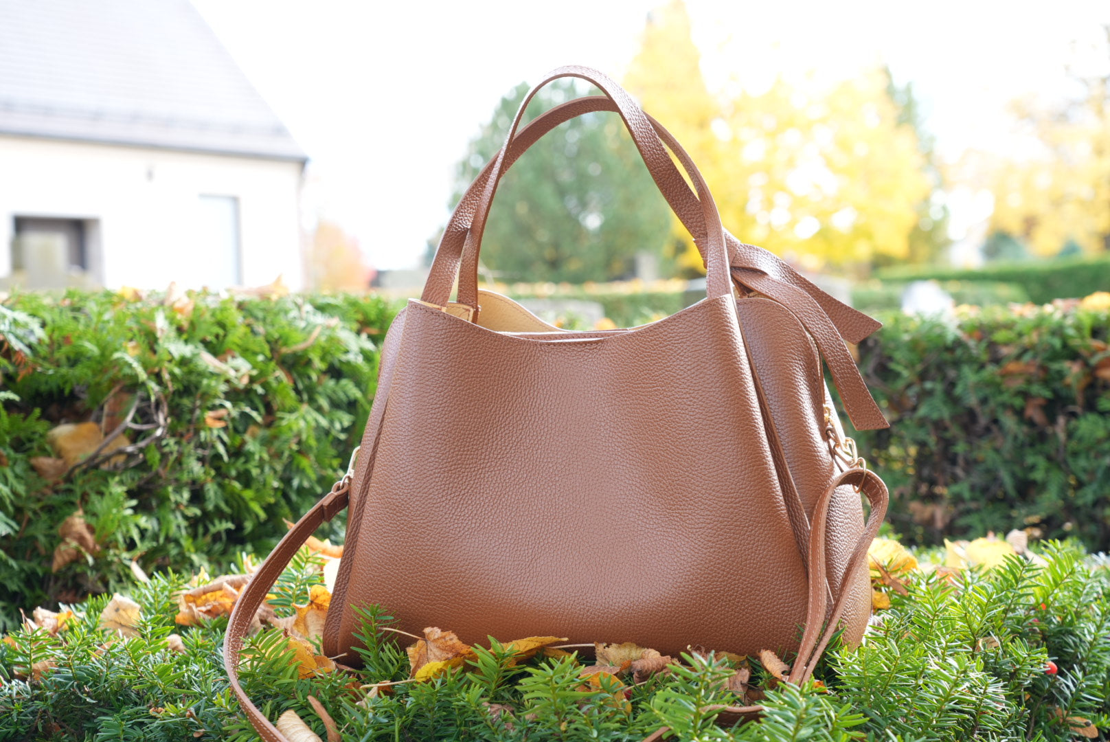 Saint Maraux™ | L’Élégance Cuir