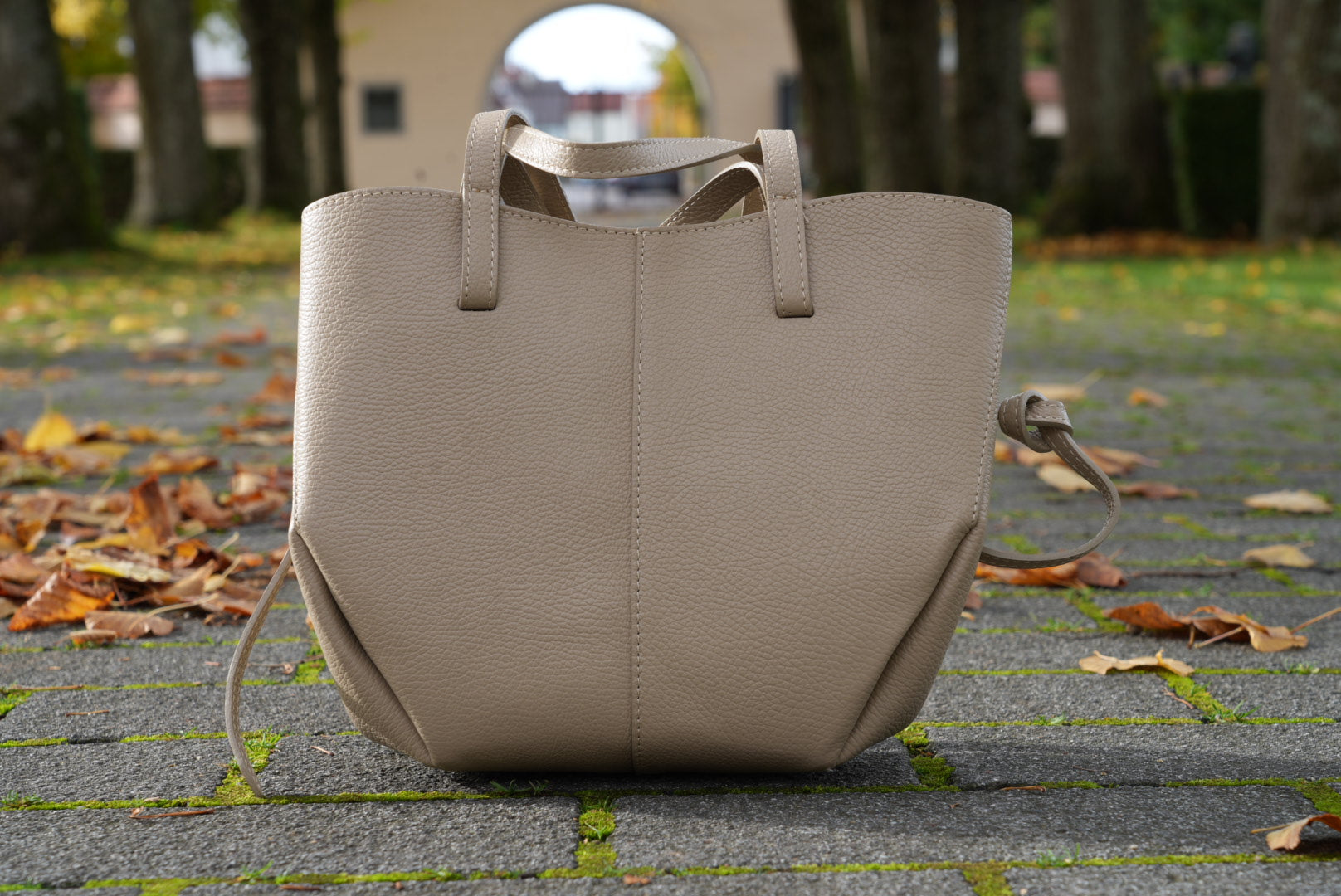 Saint Maraux™ — LUMERA Édition Taupe